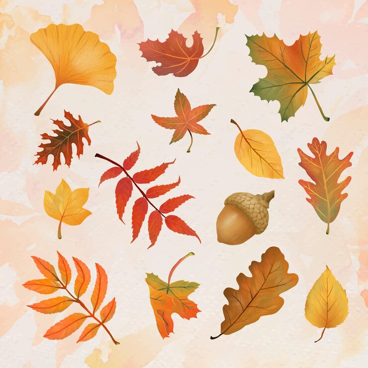 Preppy Fall Wallpapers 10